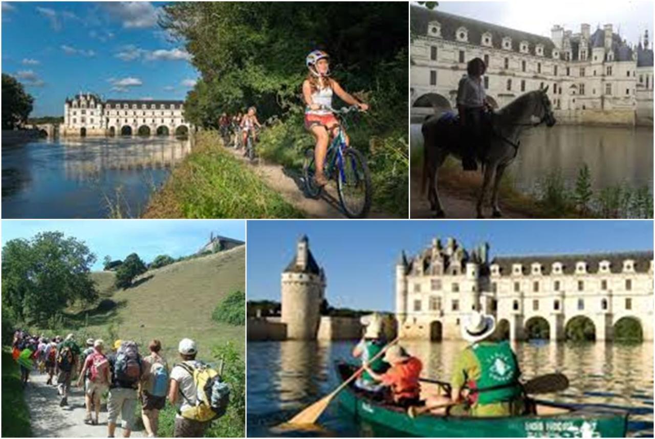Bed and Breakfast Le Roi Coq Chenonceaux Exterior foto